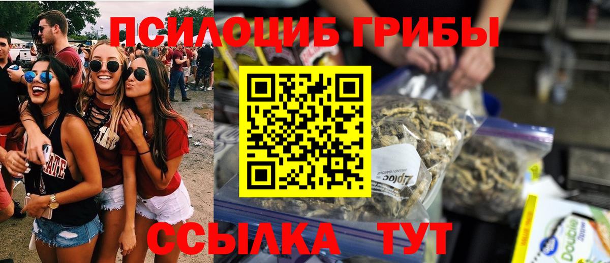 Галлюциногенные грибы Psilocybine cubensis  магазин продажи   Вход с VPN  Ржев  Галлюциногенные грибы ЛСД 