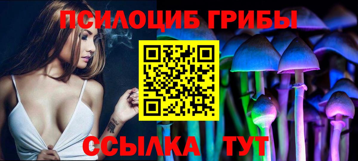 Псилоцибиновые грибы мицелий Ржев